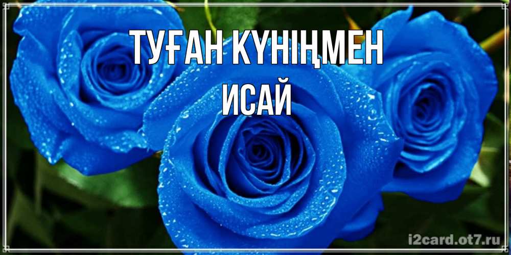 Күн сайын ашық хат с именем, Исай Туған күніңмен розы с синим цветом Онлайн тегін жүктеп алу тілектері бар керемет карта 