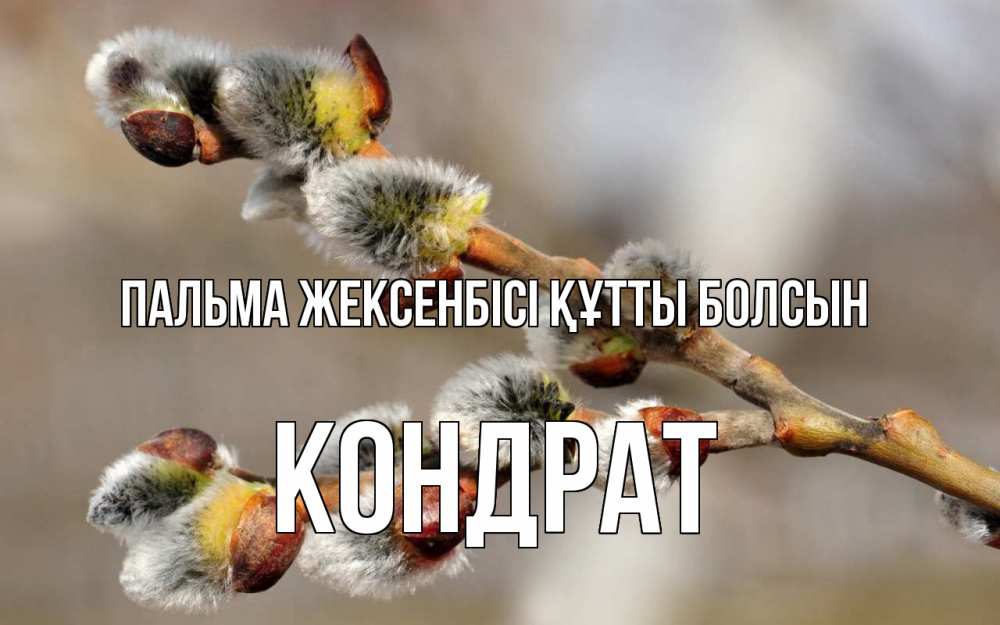 Күн сайын ашық хат с именем, Кондрат Пальма жексенбісі құтты болсын Верба Онлайн тегін жүктеп алу тілектері бар керемет карта 