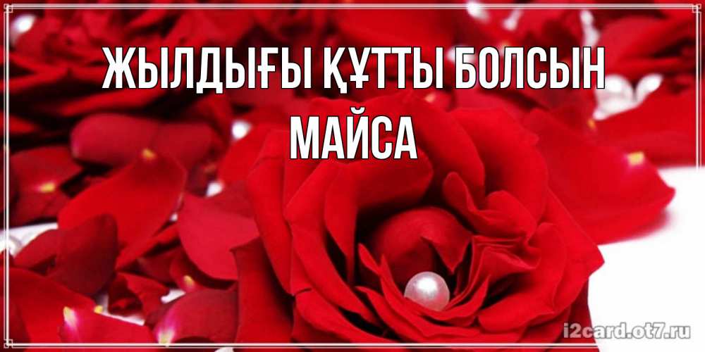Күн сайын ашық хат с именем, МАЙСА Жылдығы құтты болсын роза с жемчужиной на открытке для любимых Онлайн тегін жүктеп алу тілектері бар керемет карта 