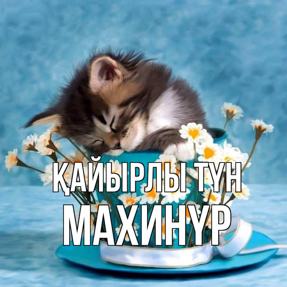 Күн сайын ашық хат с именем, МАХИНҮР Қайырлы түн котенок спит в кружке с блюдцем Онлайн тегін жүктеп алу тілектері бар керемет карта 