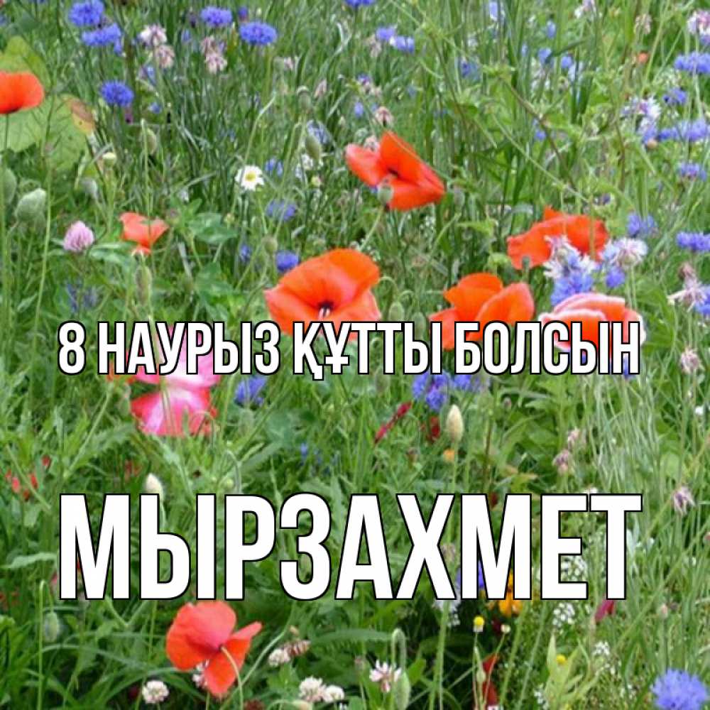 Күн сайын ашық хат с именем, МЫРЗАХМЕТ 8 наурыз құтты болсын международный женский день 4 Онлайн тегін жүктеп алу тілектері бар керемет карта 