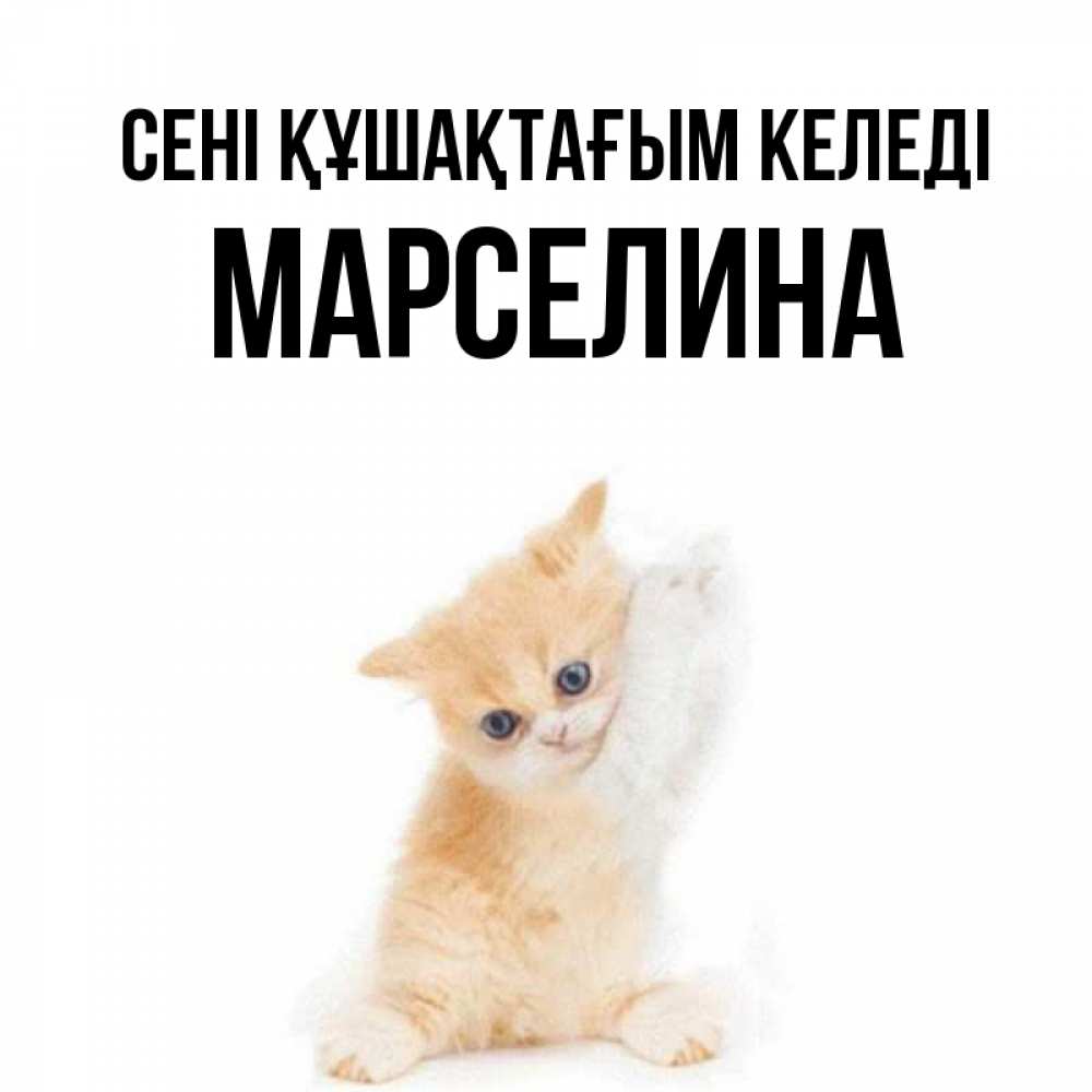 Күн сайын ашық хат с именем, Марселина сені құшақтағым келеді я хочу очень скорее обнимаешек Онлайн тегін жүктеп алу тілектері бар керемет карта 