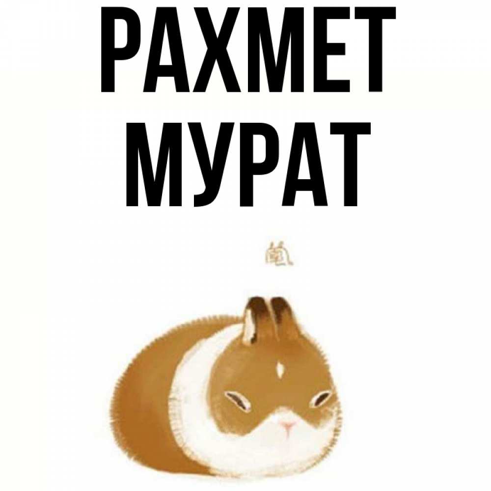 Күн сайын ашық хат с именем, Мурат рахмет коричнево белый домашний питомец Онлайн тегін жүктеп алу тілектері бар керемет карта 