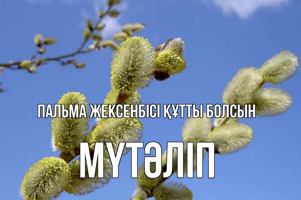 Күн сайын ашық хат с именем, МҮТӘЛІП Пальма жексенбісі құтты болсын верба Онлайн тегін жүктеп алу тілектері бар керемет карта 