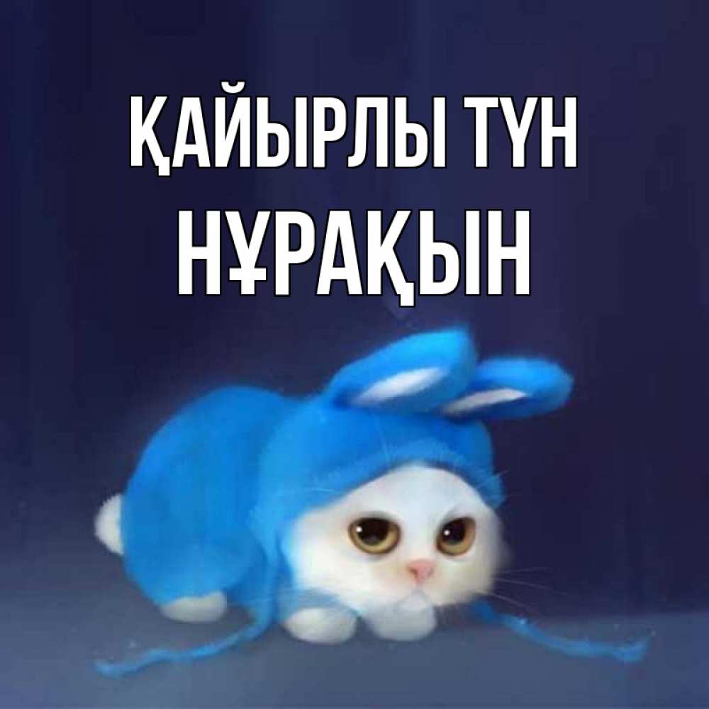 Күн сайын ашық хат с именем, НҰРАҚЫН Қайырлы түн кот в голубом костюме кролика с ушками Онлайн тегін жүктеп алу тілектері бар керемет карта 