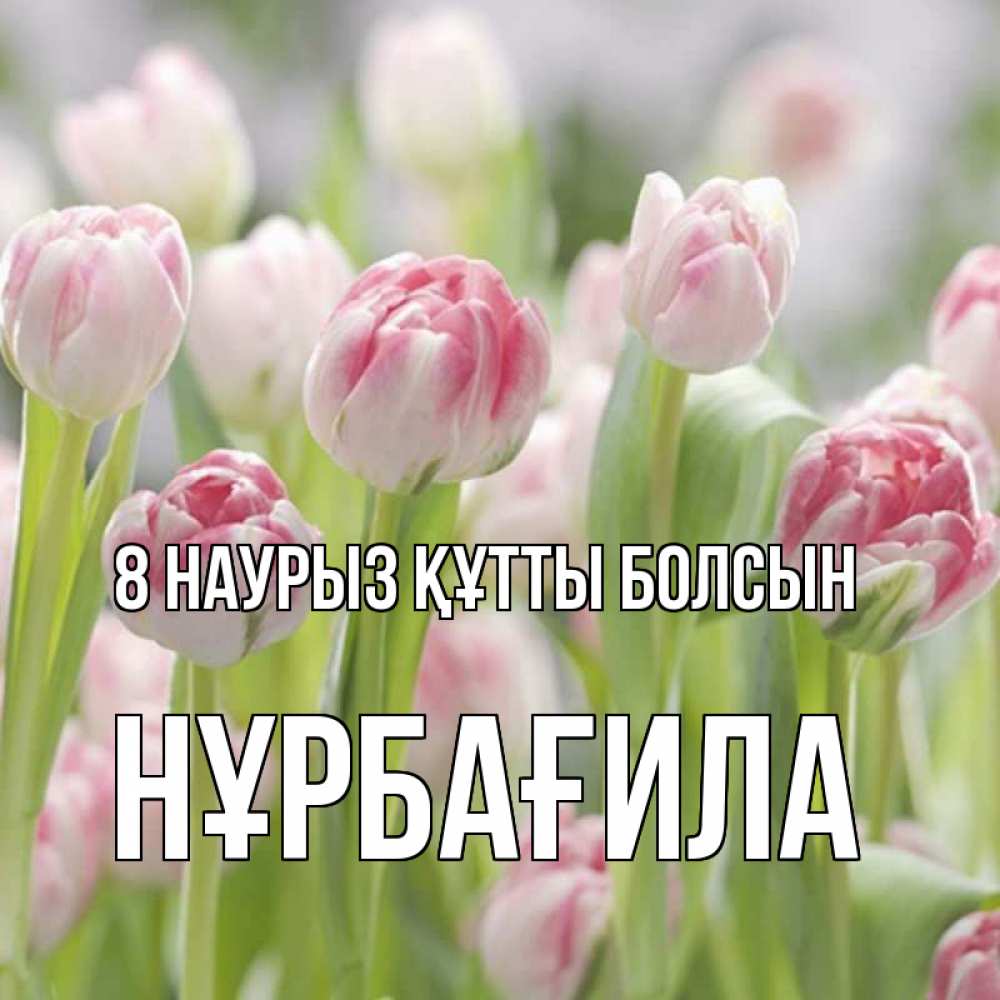 Күн сайын ашық хат с именем, НҰРБАҒИЛА 8 наурыз құтты болсын цветы Онлайн тегін жүктеп алу тілектері бар керемет карта 