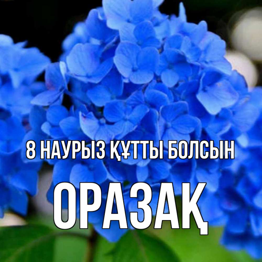 Күн сайын ашық хат с именем, ОРАЗАҚ 8 наурыз құтты болсын синие цветы Онлайн тегін жүктеп алу тілектері бар керемет карта 