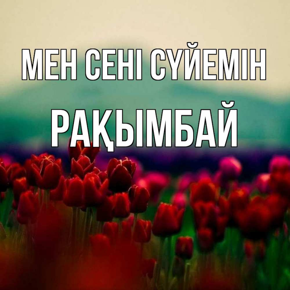 Күн сайын ашық хат с именем, Рақымбай Мен сені сүйемін тюльпаны 4 Онлайн тегін жүктеп алу тілектері бар керемет карта 