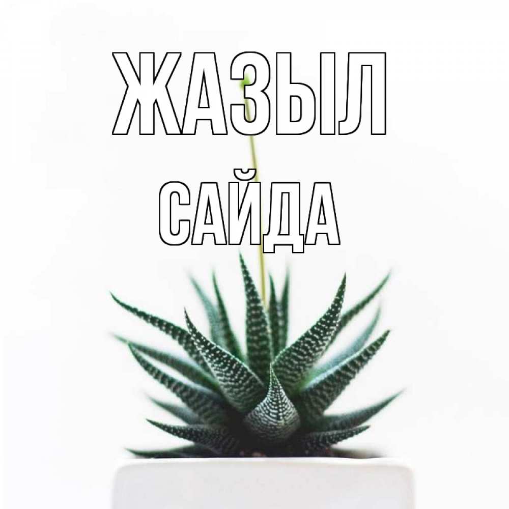 Күн сайын ашық хат с именем, САЙДА Жазыл короче это непонятная колючка Онлайн тегін жүктеп алу тілектері бар керемет карта 