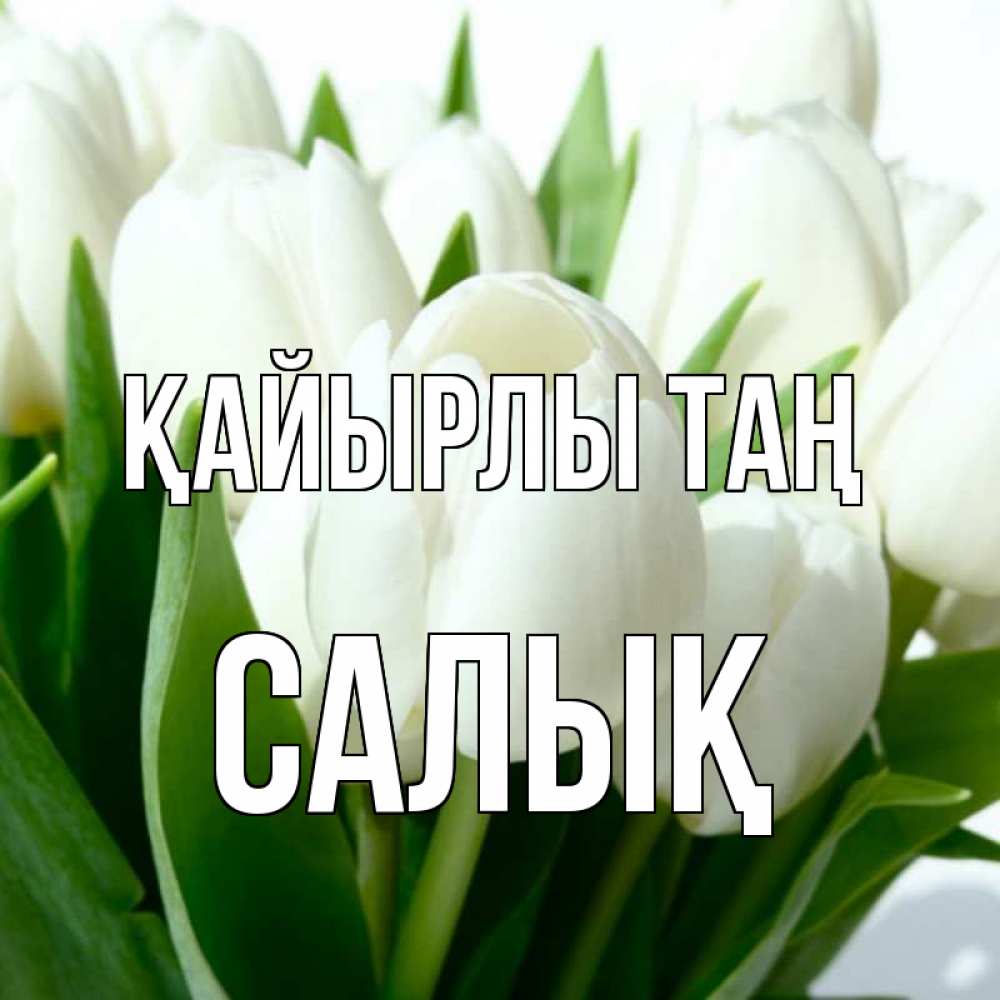 Күн сайын ашық хат с именем, САЛЫҚ Қайырлы таң открытки на каждый день по именам Онлайн тегін жүктеп алу тілектері бар керемет карта 