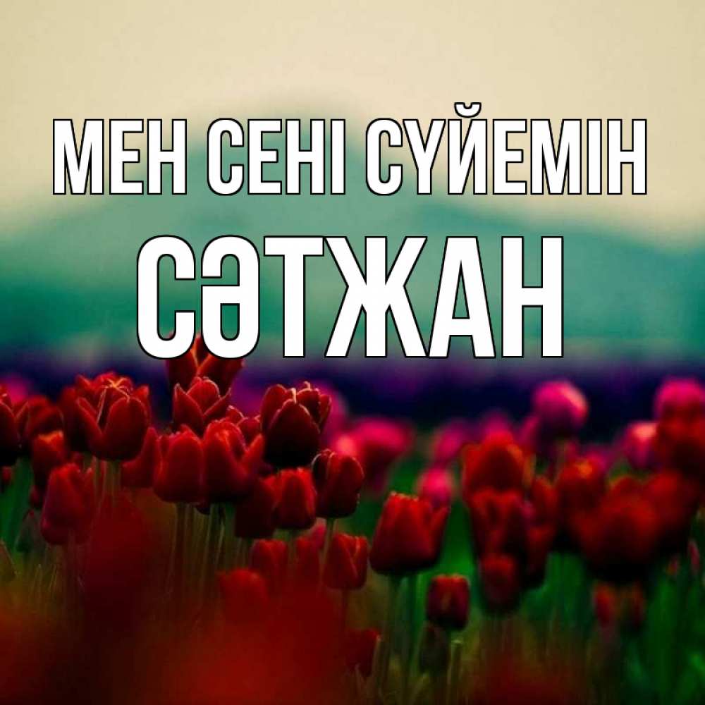 Күн сайын ашық хат с именем, СӘТЖАН Мен сені сүйемін тюльпаны 4 Онлайн тегін жүктеп алу тілектері бар керемет карта 