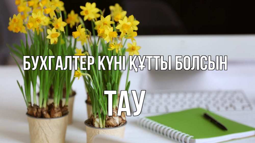 Күн сайын ашық хат с именем, ТАУ бухгалтер күні құтты болсын с днем бухгалтера Онлайн тегін жүктеп алу тілектері бар керемет карта 