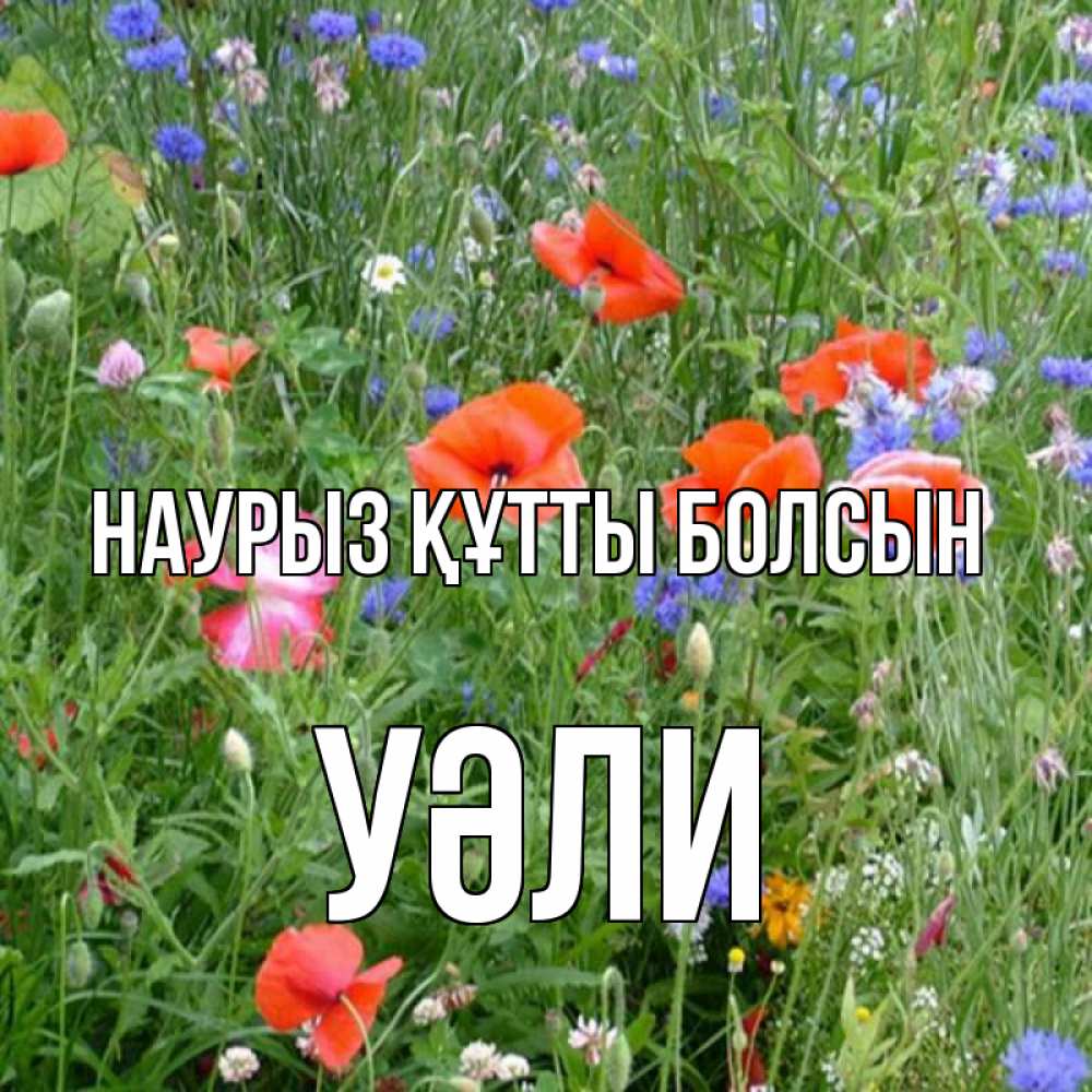 Күн сайын ашық хат с именем, УӘЛИ Наурыз құтты болсын наурыз  4 Онлайн тегін жүктеп алу тілектері бар керемет карта 