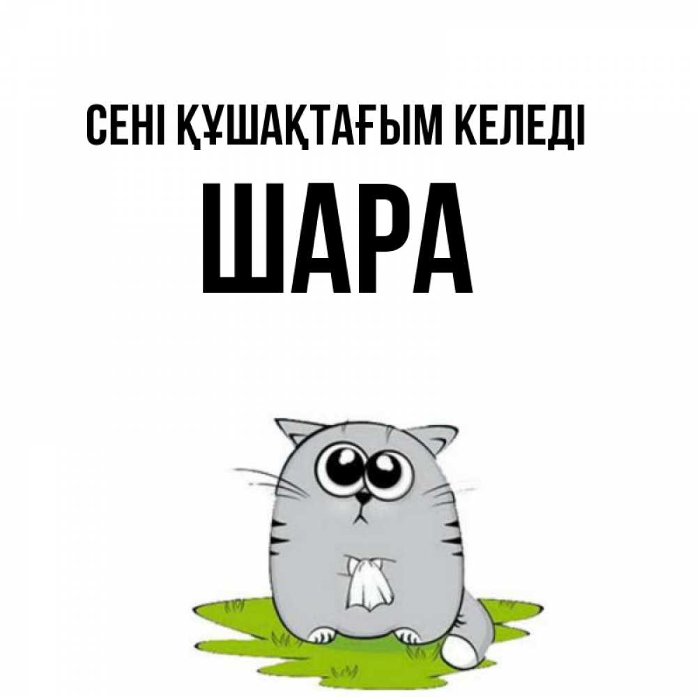 Күн сайын ашық хат с именем, ШАРА сені құшақтағым келеді котик теребит платочек сидя на травке Онлайн тегін жүктеп алу тілектері бар керемет карта 