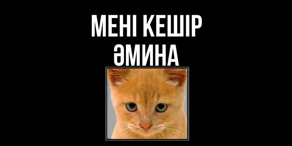 Күн сайын ашық хат с именем, ӘМИНА Мені кешір рыжий грустный кот просит прощения Онлайн тегін жүктеп алу тілектері бар керемет карта 