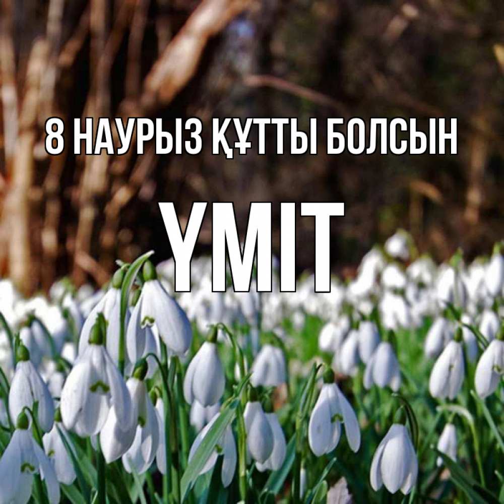 Күн сайын ашық хат с именем, ҮМІТ 8 наурыз құтты болсын с подснежниками 1 Онлайн тегін жүктеп алу тілектері бар керемет карта 