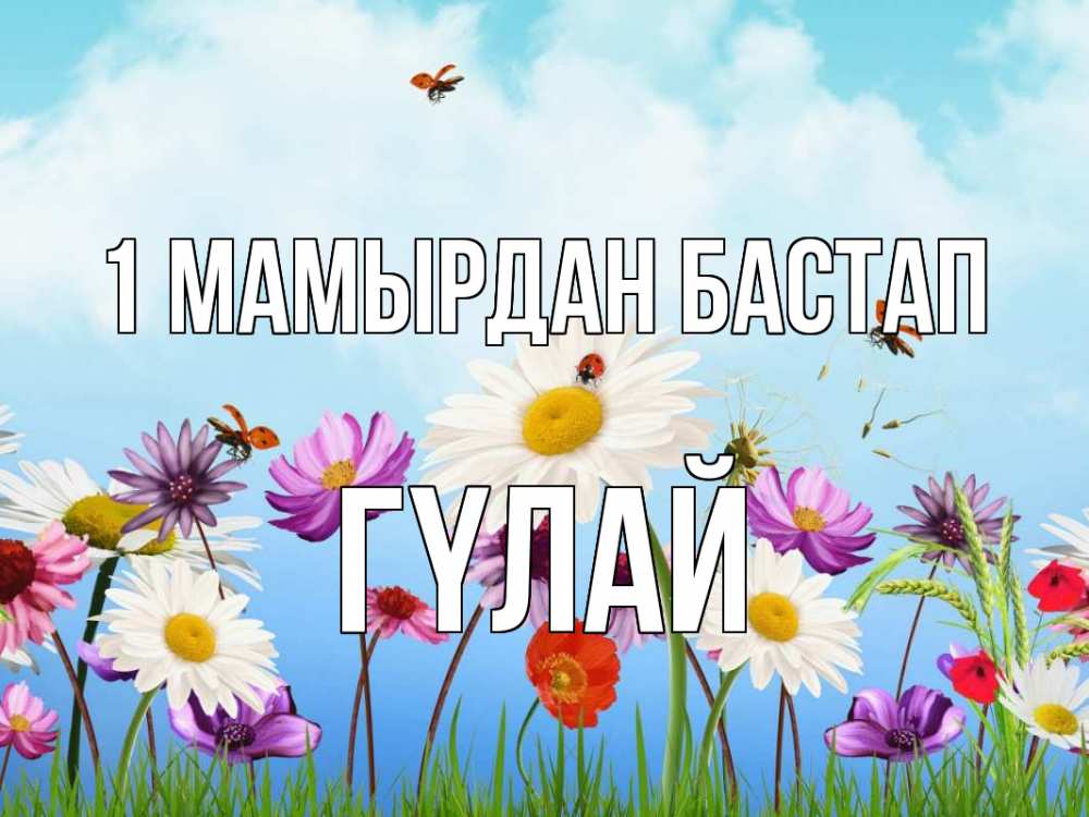 Күн сайын ашық хат с именем, ГҮЛАЙ 1 мамырдан бастап С 1 мая Онлайн тегін жүктеп алу тілектері бар керемет карта 
