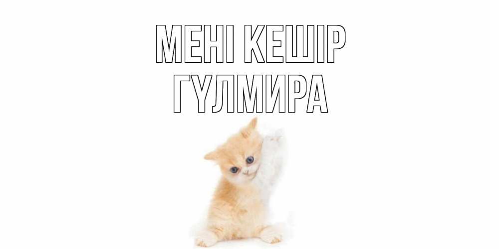 Күн сайын ашық хат с именем, ГҮЛМИРА Мені кешір кот Онлайн тегін жүктеп алу тілектері бар керемет карта 