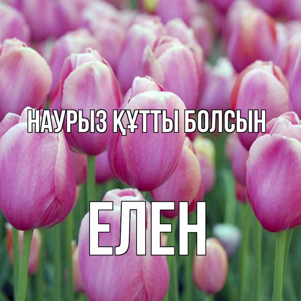 Күн сайын ашық хат с именем, Елен Наурыз құтты болсын на наурыз  день 3 Онлайн тегін жүктеп алу тілектері бар керемет карта 