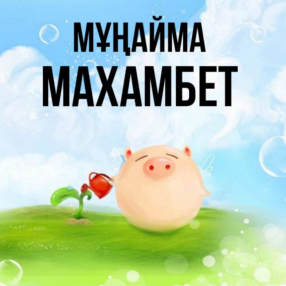 Күн сайын ашық хат с именем, МАХАМБЕТ Мұңайма поливает цветок порося Онлайн тегін жүктеп алу тілектері бар керемет карта 