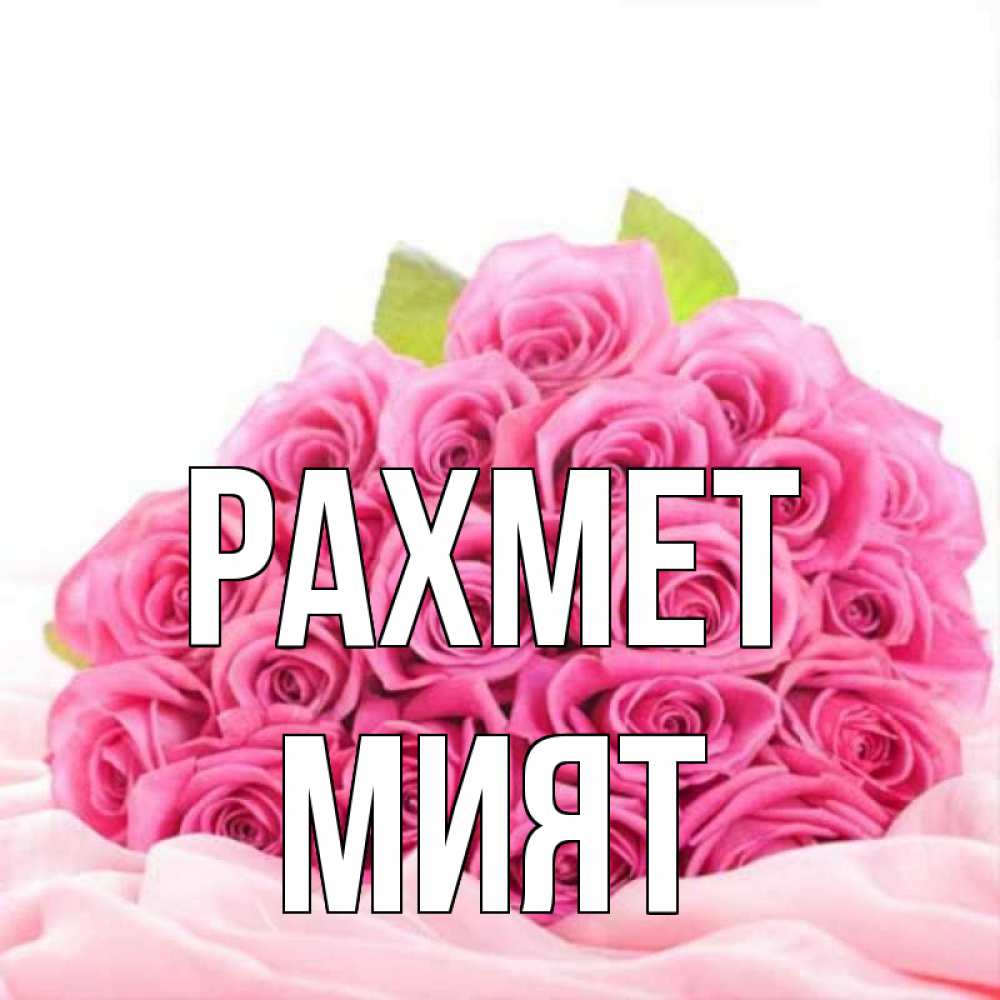 Күн сайын ашық хат с именем, МИЯТ рахмет розовые розы с подписью Онлайн тегін жүктеп алу тілектері бар керемет карта 