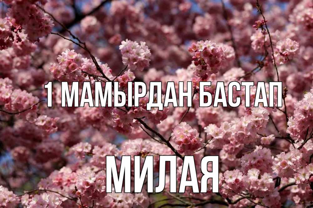 Күн сайын ашық хат с именем, Милая 1 мамырдан бастап С 1 мая Онлайн тегін жүктеп алу тілектері бар керемет карта 