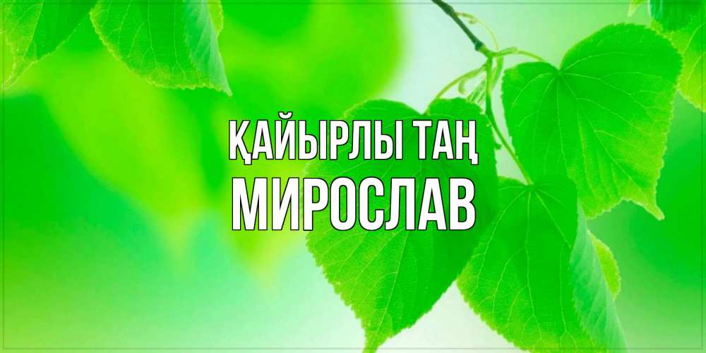 Күн сайын ашық хат с именем, Мирослав Қайырлы таң доброе утро с березовыми листьями Онлайн тегін жүктеп алу тілектері бар керемет карта 