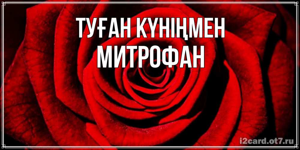 Күн сайын ашық хат с именем, Митрофан Туған күніңмен алая роза Онлайн тегін жүктеп алу тілектері бар керемет карта 