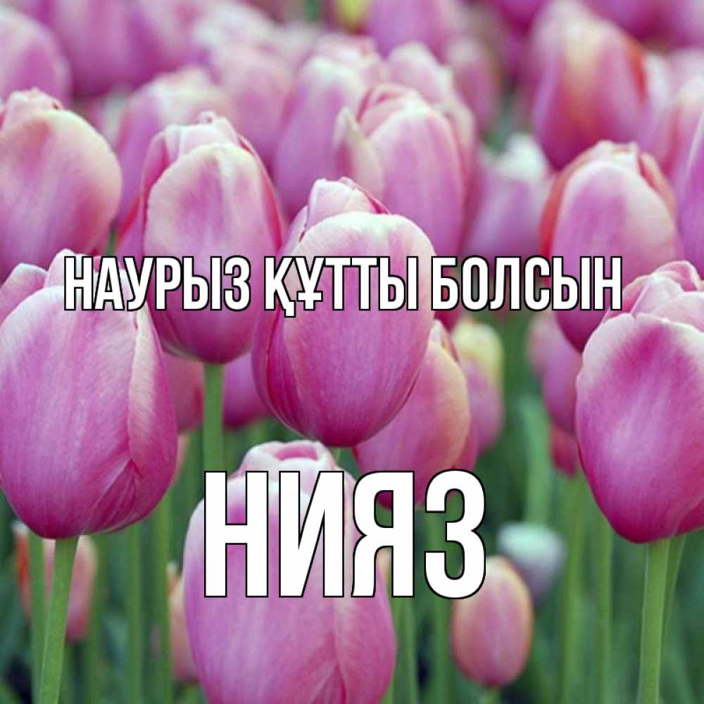 Күн сайын ашық хат с именем, НИЯЗ Наурыз құтты болсын на наурыз  день 3 Онлайн тегін жүктеп алу тілектері бар керемет карта 