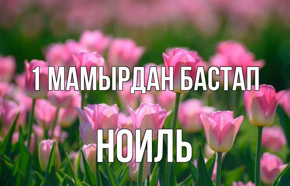 Күн сайын ашық хат с именем, НОИЛЬ 1 мамырдан бастап С 1 мая Онлайн тегін жүктеп алу тілектері бар керемет карта 