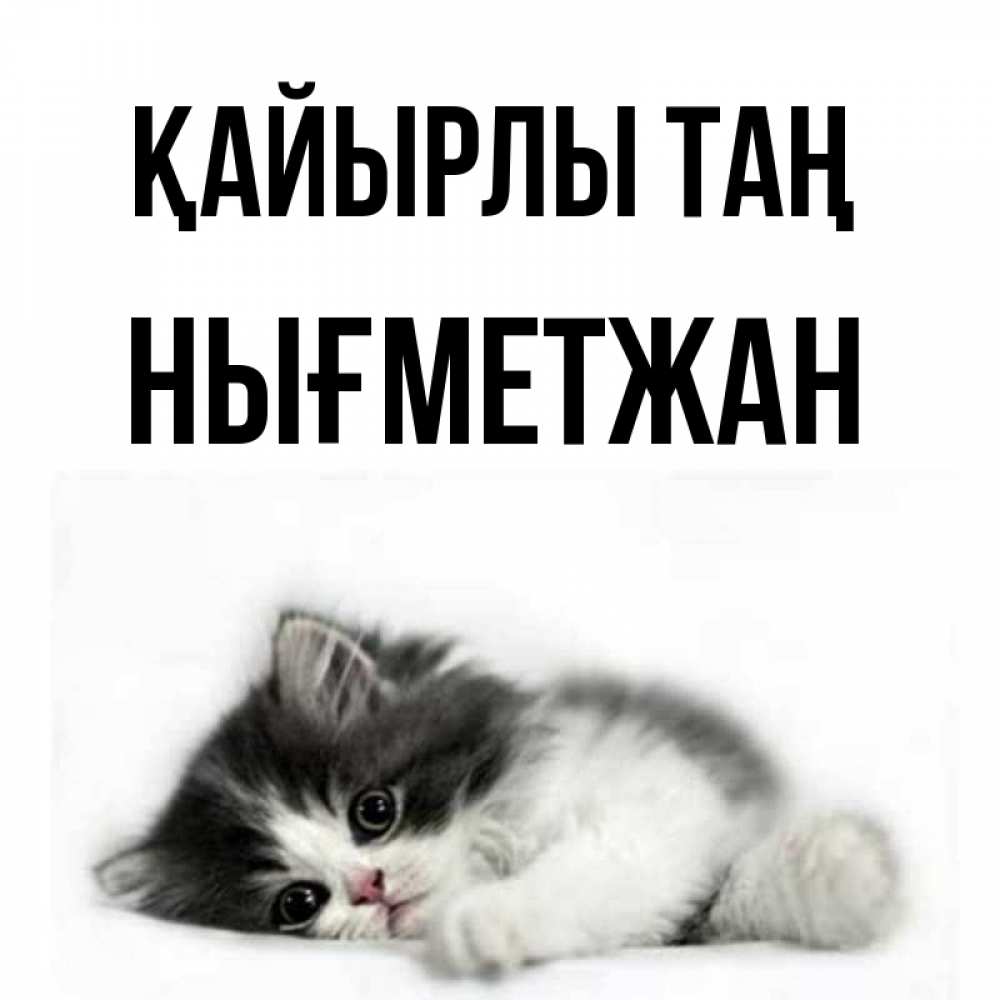 Күн сайын ашық хат с именем, НЫҒМЕТЖАН Қайырлы таң кот лапки Онлайн тегін жүктеп алу тілектері бар керемет карта 