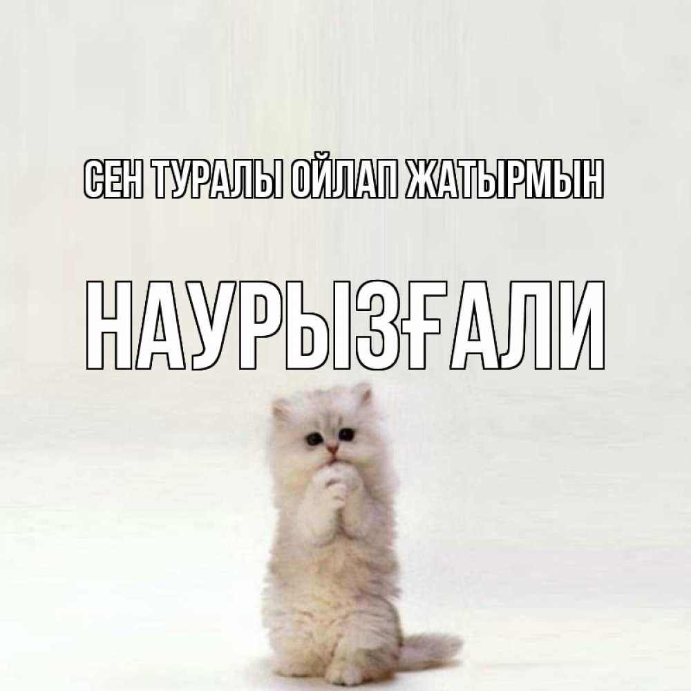 Күн сайын ашық хат с именем, Наурызғали Сен туралы ойлап жатырмын кот стоит на задних лапах Онлайн тегін жүктеп алу тілектері бар керемет карта 