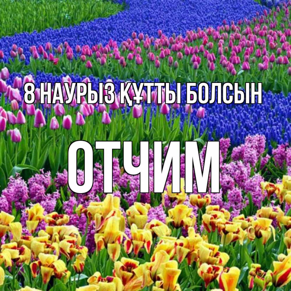 Күн сайын ашық хат с именем, Отчим 8 наурыз құтты болсын цветы Онлайн тегін жүктеп алу тілектері бар керемет карта 