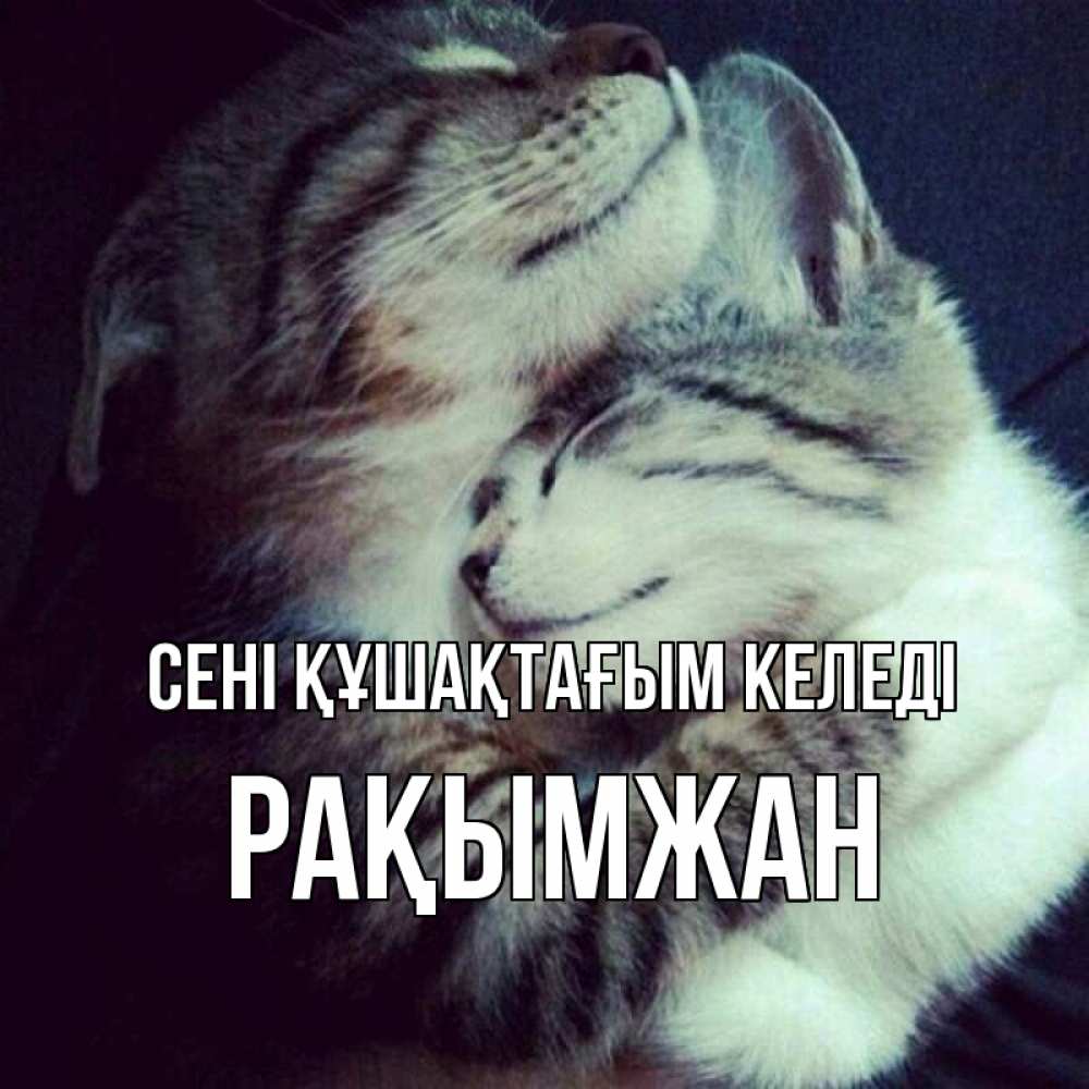 Күн сайын ашық хат с именем, Рақымжан сені құшақтағым келеді полосатики Онлайн тегін жүктеп алу тілектері бар керемет карта 