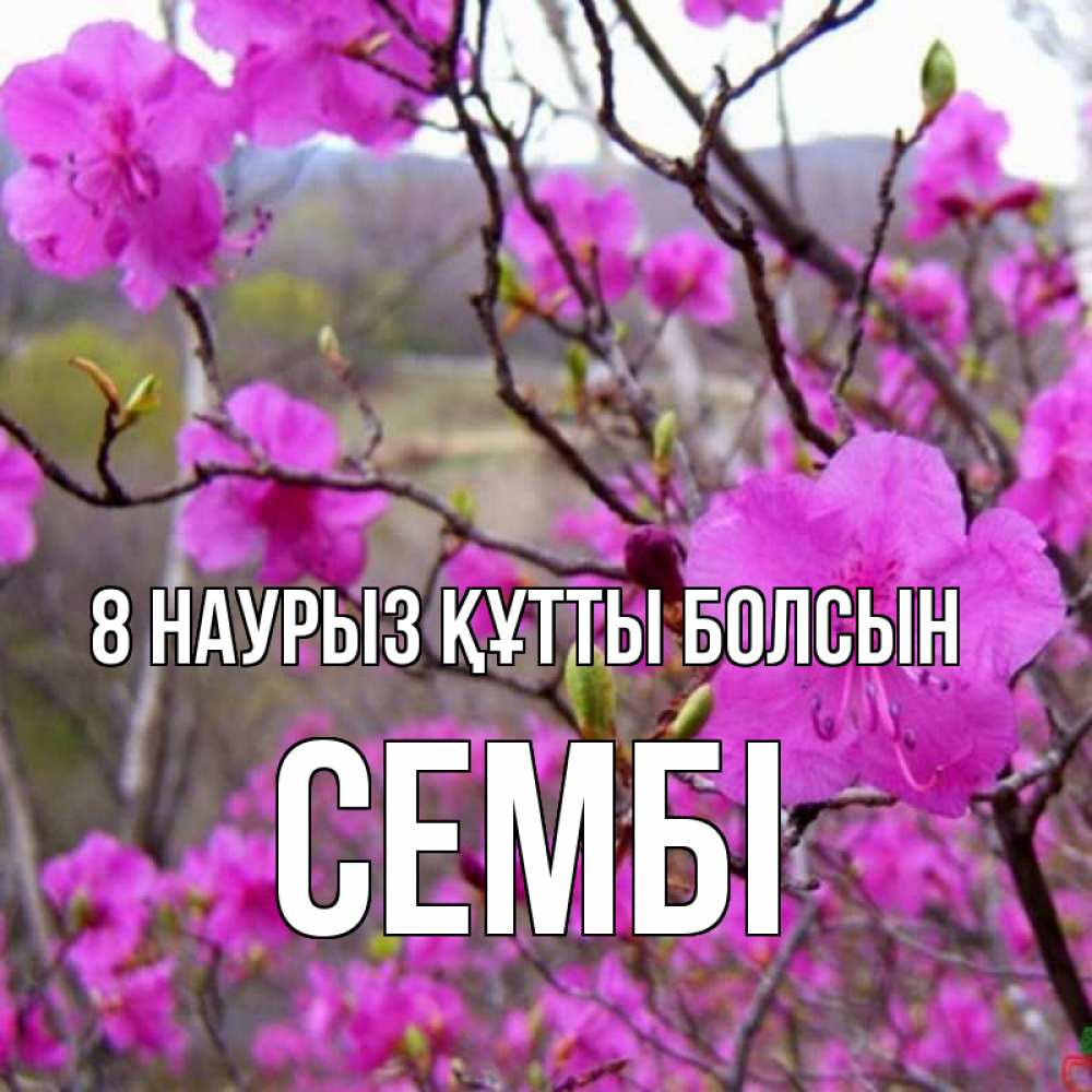 Күн сайын ашық хат с именем, СЕМБІ 8 наурыз құтты болсын международный женский день Онлайн тегін жүктеп алу тілектері бар керемет карта 