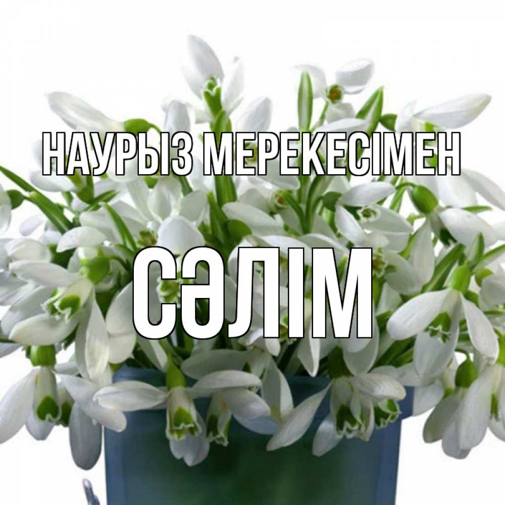 Күн сайын ашық хат с именем, СӘЛІМ Наурыз мерекесімен цветы к наурызу новый год в Казахстане Онлайн тегін жүктеп алу тілектері бар керемет карта 