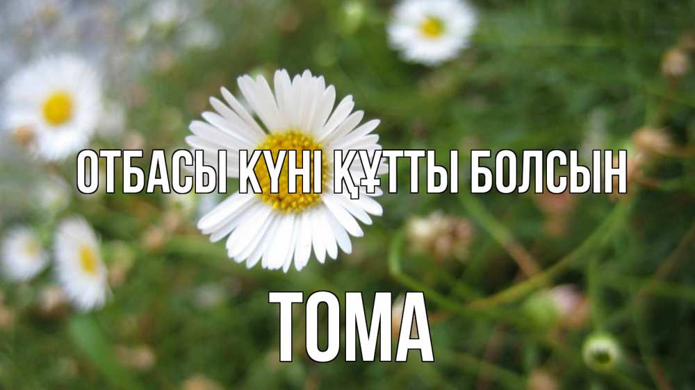 Күн сайын ашық хат с именем, Тома отбасы күні құтты болсын с днем семьи Онлайн тегін жүктеп алу тілектері бар керемет карта 