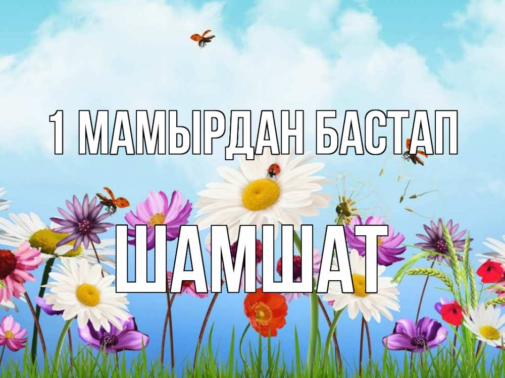 Күн сайын ашық хат с именем, ШАМШАТ 1 мамырдан бастап С 1 мая Онлайн тегін жүктеп алу тілектері бар керемет карта 