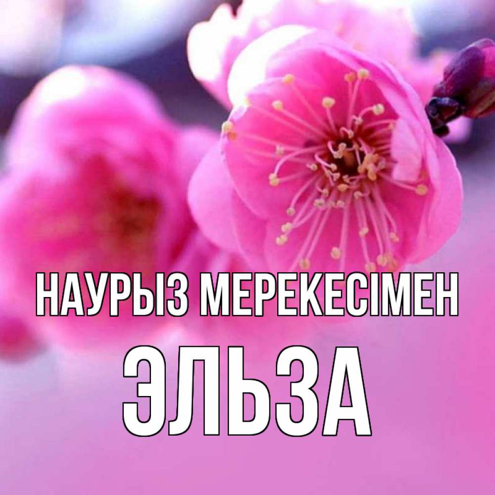 Күн сайын ашық хат с именем, Эльза Наурыз мерекесімен международный женский день Онлайн тегін жүктеп алу тілектері бар керемет карта 