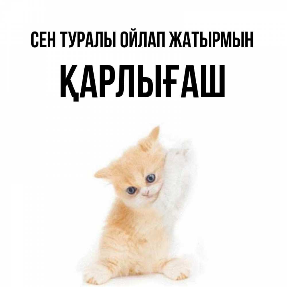 Күн сайын ашық хат с именем, ҚАРЛЫҒАШ Сен туралы ойлап жатырмын зверушки и милота Онлайн тегін жүктеп алу тілектері бар керемет карта 