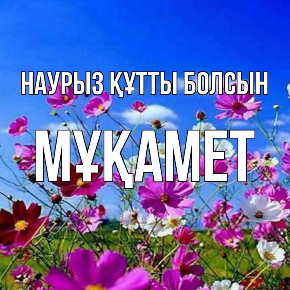Күн сайын ашық хат с именем, МҰҚАМЕТ Наурыз құтты болсын цветы Онлайн тегін жүктеп алу тілектері бар керемет карта 