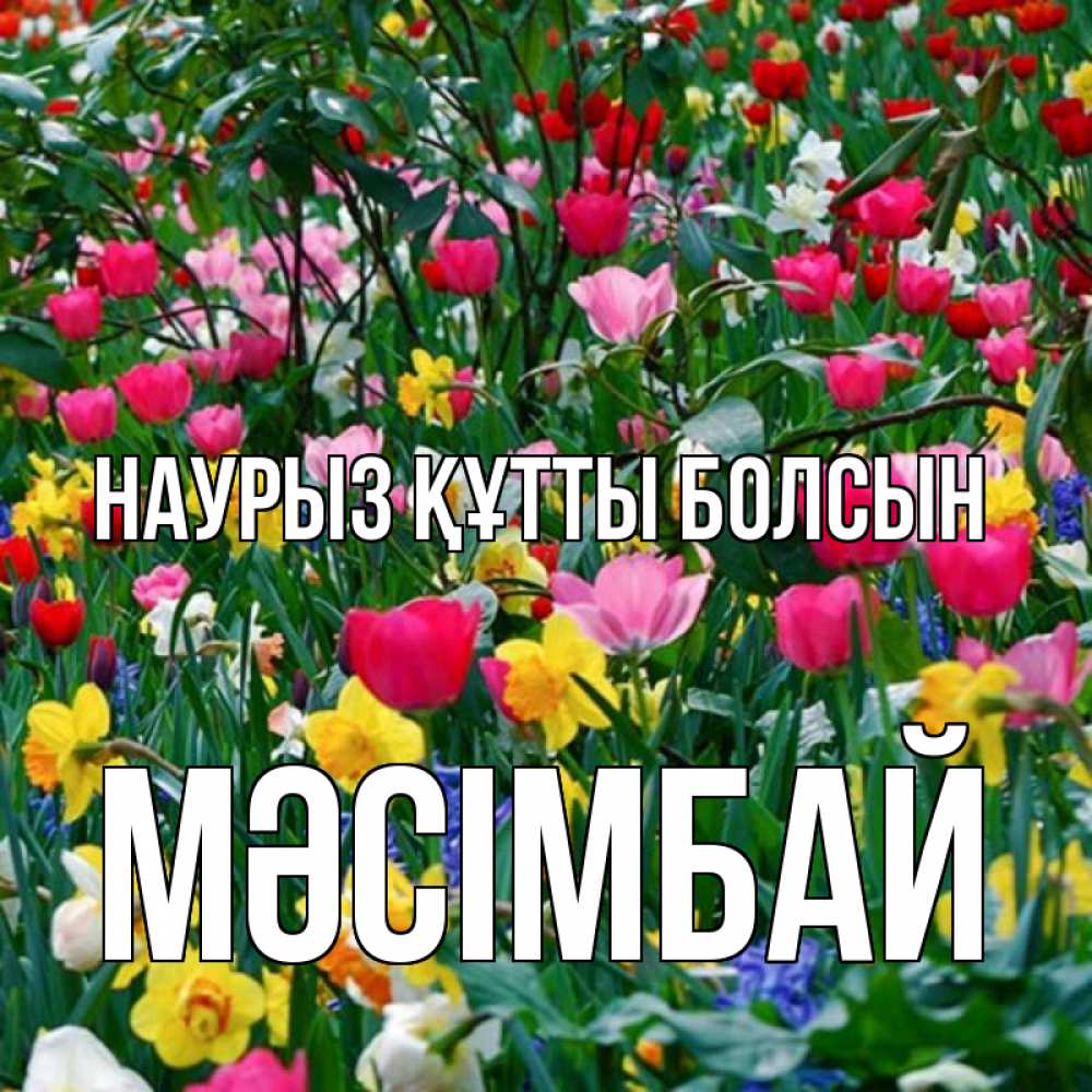 Күн сайын ашық хат с именем, МӘСІМБАЙ Наурыз құтты болсын с наурызом поздравления для женщины Онлайн тегін жүктеп алу тілектері бар керемет карта 