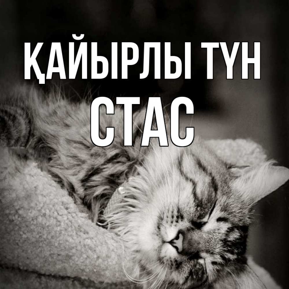 Күн сайын ашық хат с именем, Стас Қайырлы түн котярик пушистый Онлайн тегін жүктеп алу тілектері бар керемет карта 