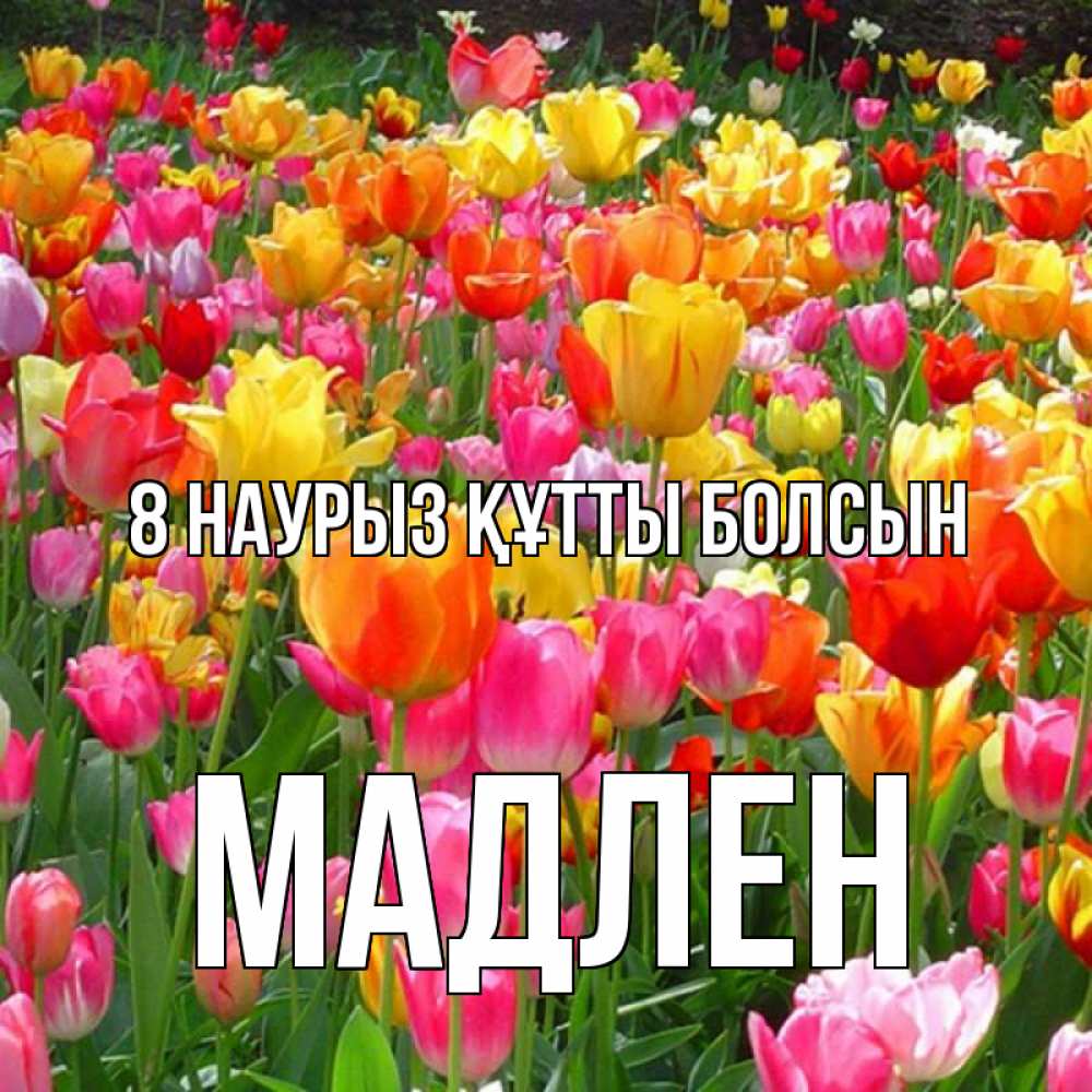 Күн сайын ашық хат с именем, Мадлен 8 наурыз құтты болсын на международный женский день Онлайн тегін жүктеп алу тілектері бар керемет карта 