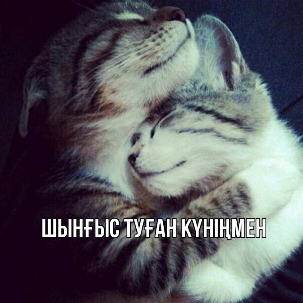 Картинка  с именем , ШЫНҒЫС! ТУҒАН КҮНІҢМЕН!