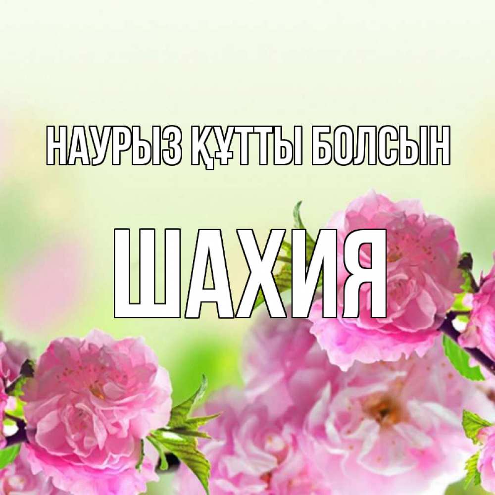 Күн сайын ашық хат с именем, ШАХИЯ Наурыз құтты болсын цветы Онлайн тегін жүктеп алу тілектері бар керемет карта 