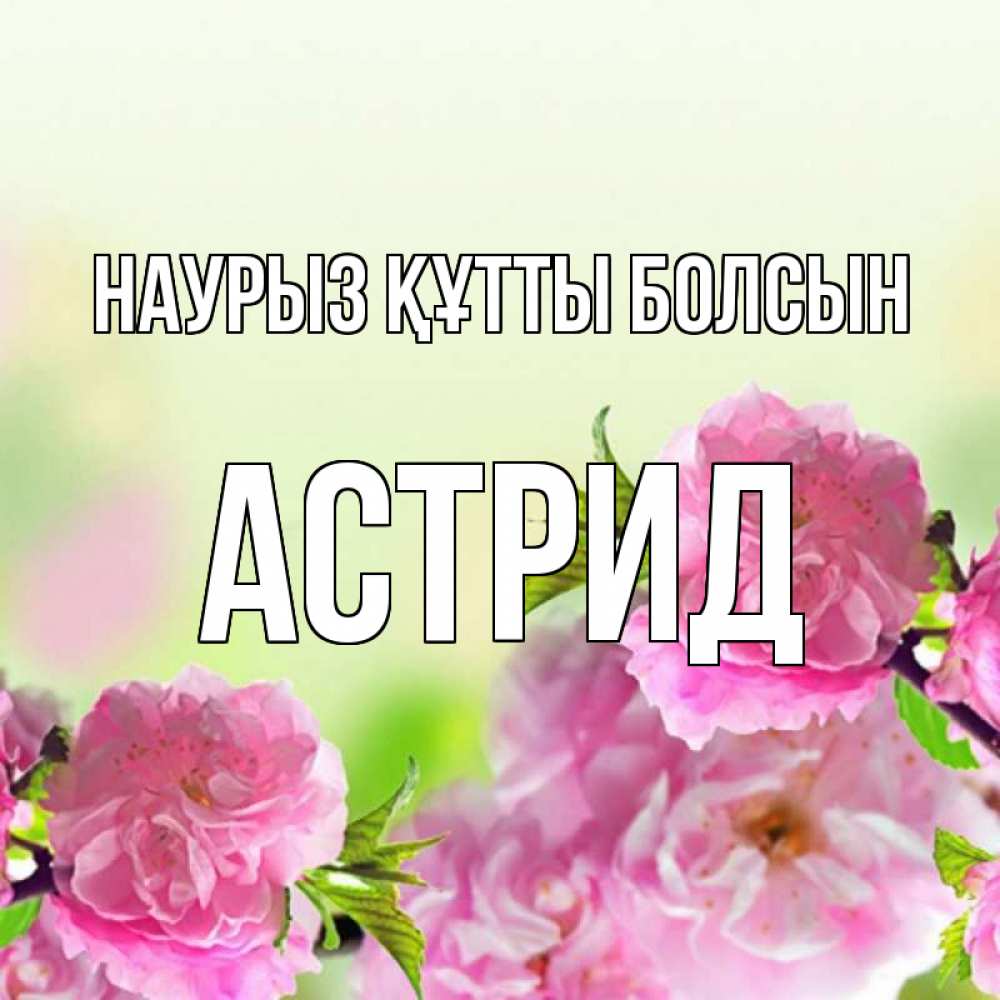 Күн сайын ашық хат с именем, Астрид Наурыз құтты болсын цветы Онлайн тегін жүктеп алу тілектері бар керемет карта 