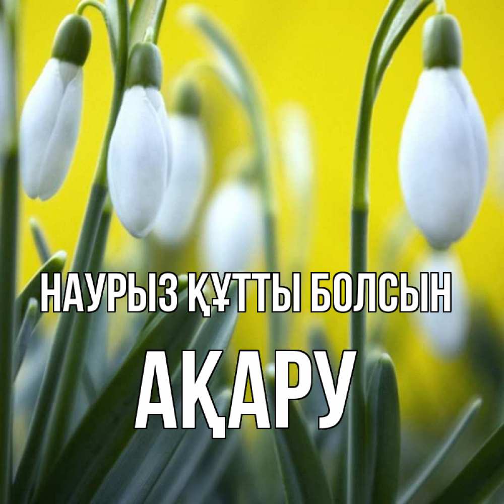 Күн сайын ашық хат с именем, АҚАРУ Наурыз құтты болсын весенние цветы Онлайн тегін жүктеп алу тілектері бар керемет карта 