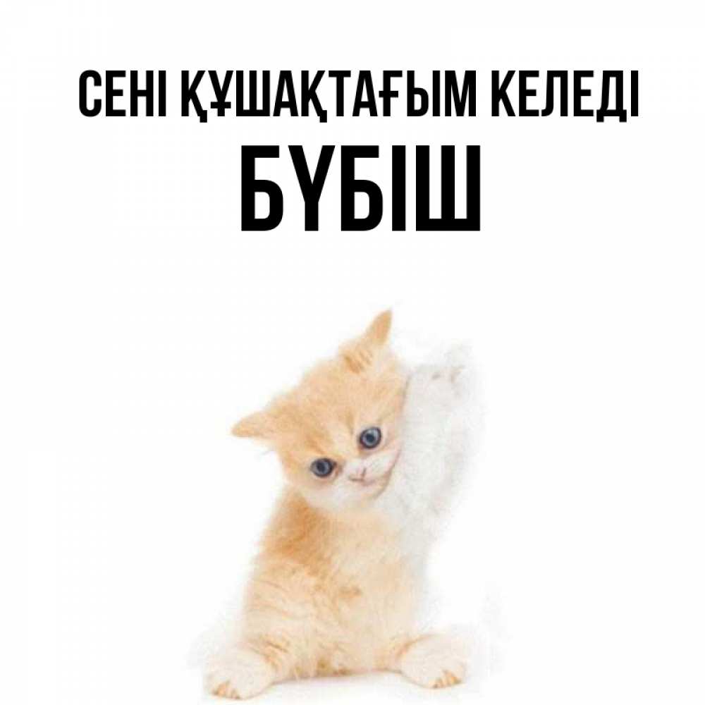 Күн сайын ашық хат с именем, БҮБІШ сені құшақтағым келеді я хочу очень скорее обнимаешек Онлайн тегін жүктеп алу тілектері бар керемет карта 