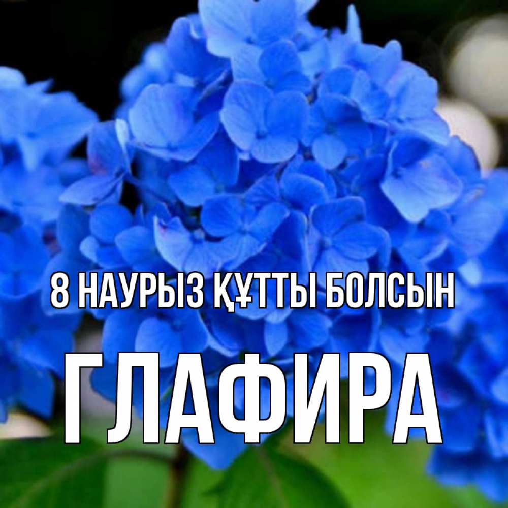 Күн сайын ашық хат с именем, Глафира 8 наурыз құтты болсын синие цветы Онлайн тегін жүктеп алу тілектері бар керемет карта 